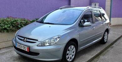 Manual PEUGEOT 307 SW 2003 de usuario PDF gratis