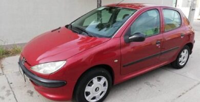 Manual PEUGEOT 206 2004 de usuario PDF gratis