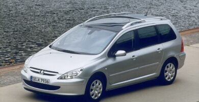 Manual PEUGEOT 307 SW 2004 de usuario PDF gratis