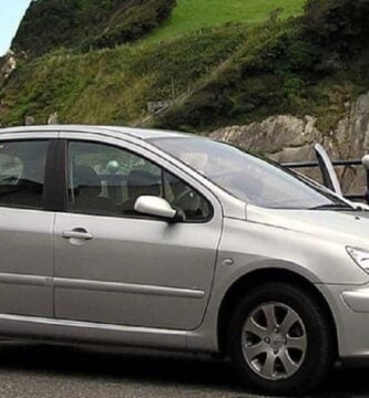 Manual PEUGEOT 307 2004 de usuario PDF gratis