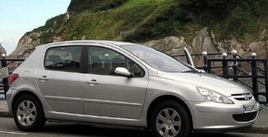 Manual PEUGEOT 307 2004 de usuario PDF gratis