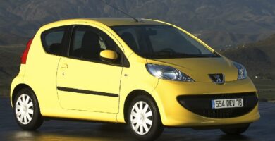 Manual PEUGEOT 107 2005 de usuario PDF gratis