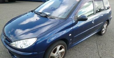 Manual PEUGEOT 206 SW 2005 de usuario PDF gratis