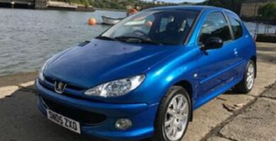 Manual PEUGEOT 206 2005 de usuario PDF gratis