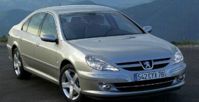 Manual PEUGEOT 607 2005 de usuario PDF gratis