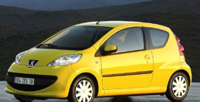 Manual PEUGEOT 107 2006 de usuario PDF gratis