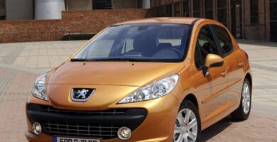 Manual PEUGEOT 207 2006 de usuario PDF gratis