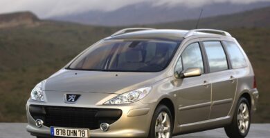 Manual PEUGEOT 307 SW 2006 de usuario PDF gratis