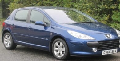 Manual PEUGEOT 307 2006 de usuario PDF gratis