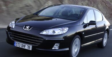 Manual PEUGEOT 407 2006 de usuario PDF gratis