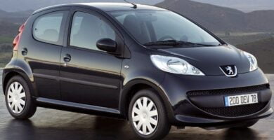 Manual PEUGEOT 107 2007 de usuario PDF gratis