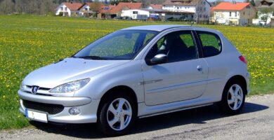 Manual PEUGEOT 206 SW 2007 de usuario PDF gratis