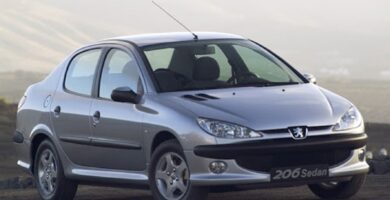 Manual PEUGEOT 206 2007 de usuario PDF gratis