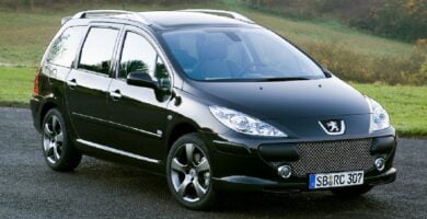 Manual PEUGEOT 307 BREAK 2007 de usuario PDF gratis