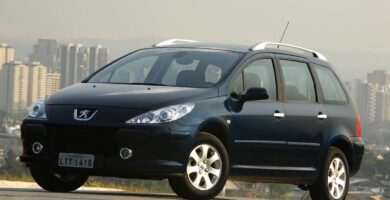 Manual PEUGEOT 307 SW 2007 de usuario PDF gratis