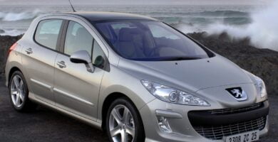 Manual PEUGEOT 308 2007 de usuario PDF gratis