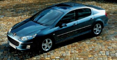 Manual PEUGEOT 407 2007 de usuario PDF gratis