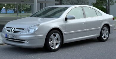 Manual PEUGEOT 607 2007 de usuario PDF gratis