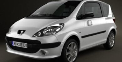 Manual PEUGEOT 1007 2008 de usuario PDF gratis