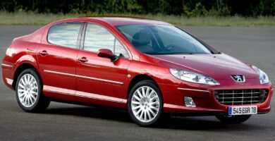 Manual PEUGEOT 407 2008 de usuario PDF gratis