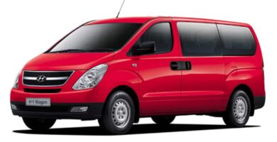 Manual HYUNDAI H-11 2008 de Usuario