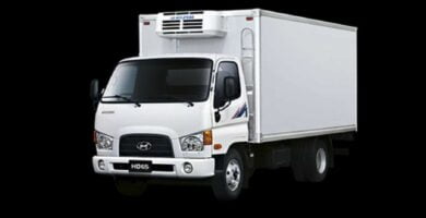 Manual HYUNDAI MEGA-TRUCKS 2008 de Usuario