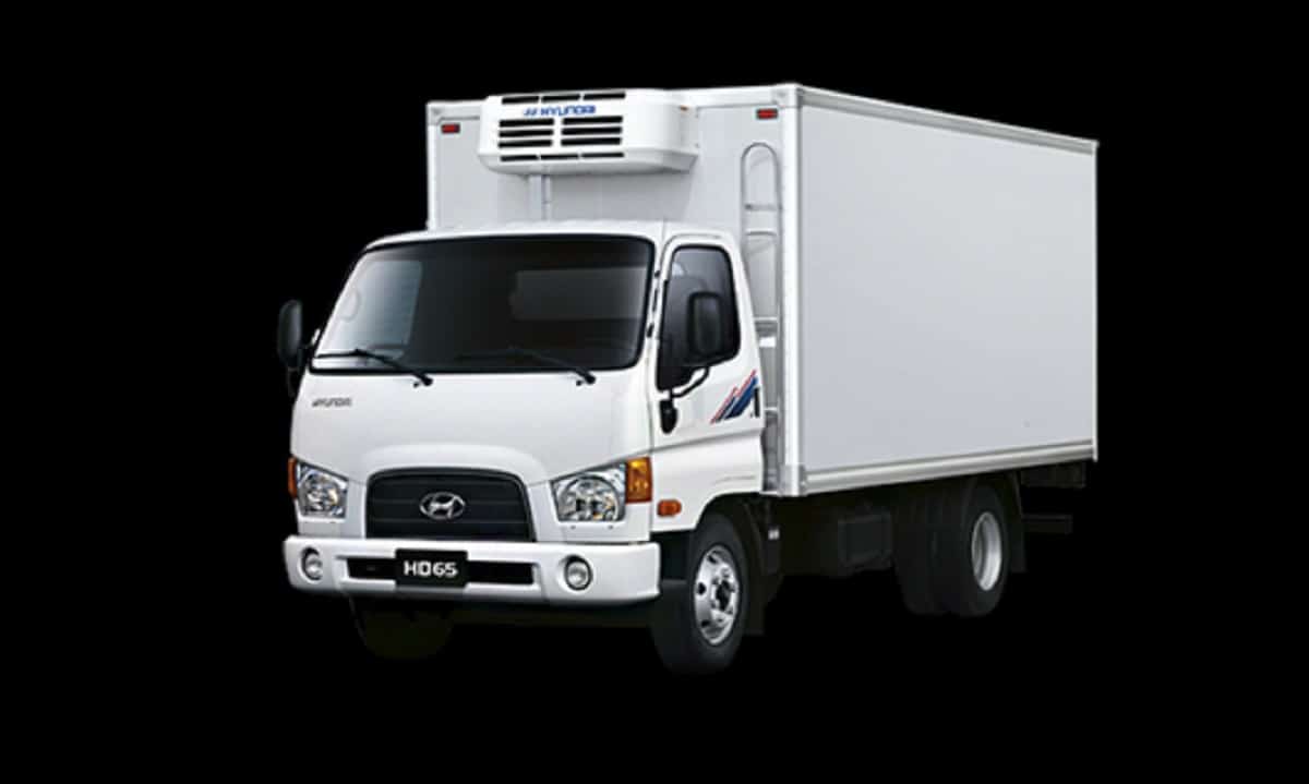 Manual HYUNDAI MEGA-TRUCKS 2008 de Usuario