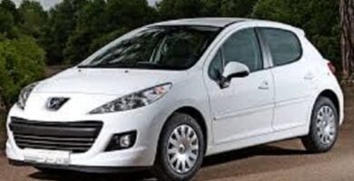 Manual PEUGEOT 207 2009 de usuario PDF gratis