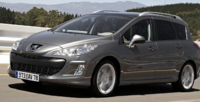 Manual PEUGEOT 308 SW 2009 de usuario PDF gratis