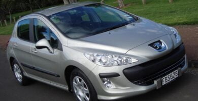 Manual PEUGEOT 308 2009 de usuario PDF gratis