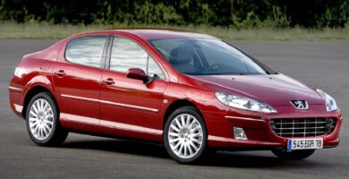 Manual PEUGEOT 407 2009 de usuario PDF gratis