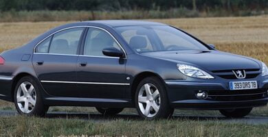 Manual PEUGEOT 607 2009 de usuario PDF gratis