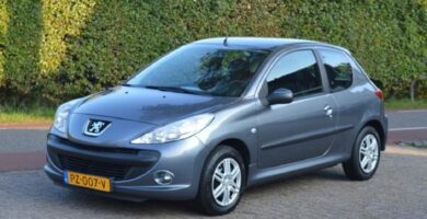 Manual PEUGEOT 206 2010 de usuario PDF gratis