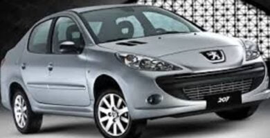 Manual PEUGEOT 207 2010 de usuario PDF gratis