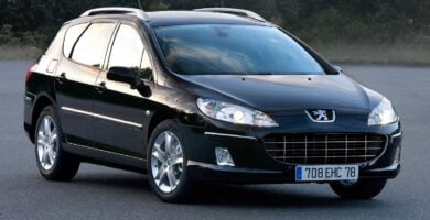 Manual PEUGEOT 407 2010 de usuario PDF gratis