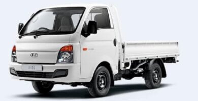 Manual HYUNDAI H-100 TRUCK 2010 de Usuario