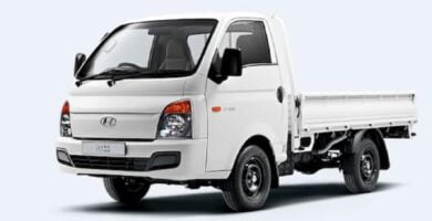 Manual HYUNDAI H-100 TRUCK 2012 de Usuario