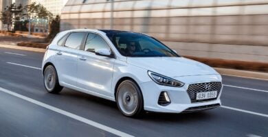 Manual HYUNDAI I-30 2017 de Usuario