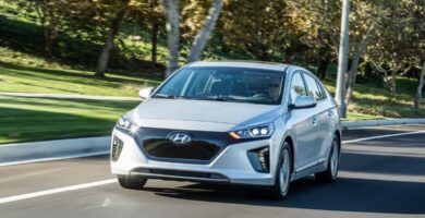 Manual HYUNDAI IONIQ ELECTRIC 2017 de Usuario