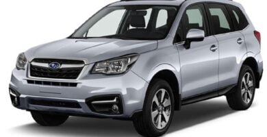 Manual SUBARU FORESTER 2017 de Usuario PDF Gratis