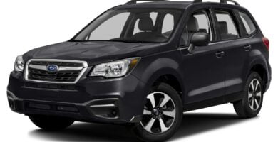 Manual SUBARU FORESTER 2018 de Usuario PDF Gratis