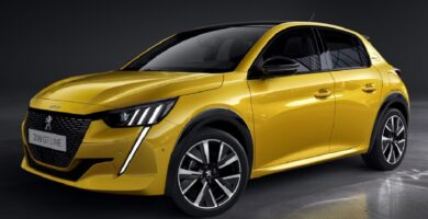 Manual PEUGEOT 208 2019 de usuario PDF gratis