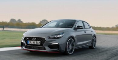 Manual HYUNDAI I-30N 2019 de Usuario