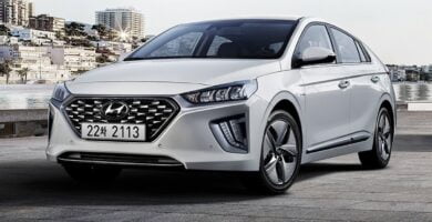 Manual HYUNDAI IONIQ 2019 de Usuario