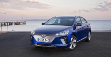 Manual HYUNDAI IONIQ ELECTRIC 2019 de Usuario