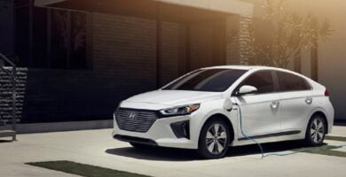 Manual HYUNDAI IONIQ PLUG-IN HYBRID 2019 de Usuario