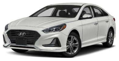 Manual HYUNDAI SONATA 2019 de Usuario