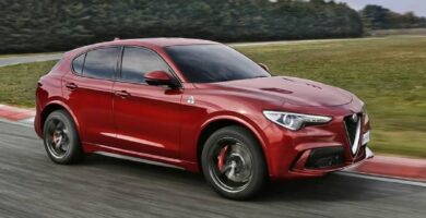 Manual ALFA ROMEO STELVIO 2019 de Usuario