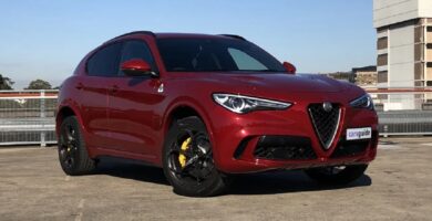 Manual ALFA ROMEO STELVIO QUADRIFOGLIO 2019 de Usuario