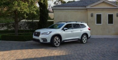 Manual SUBARU ASCENT 2019 de Usuario PDF Gratis